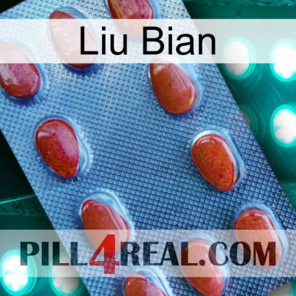 Liu Bian 06